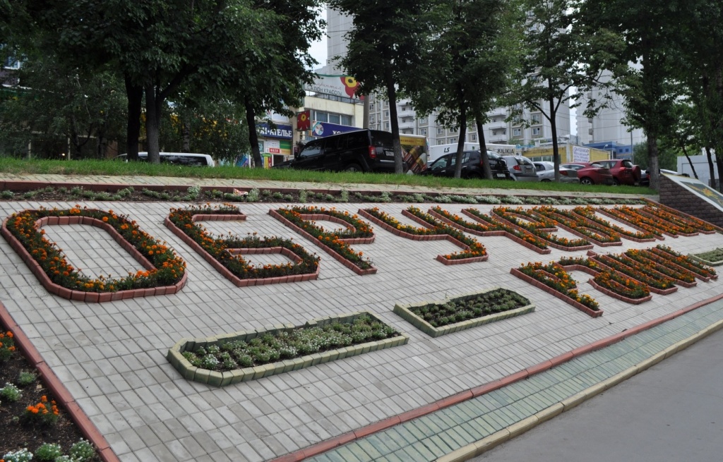 клумба.JPG