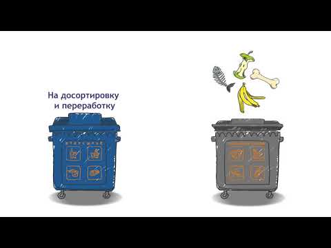 Раздельный сбор мусора