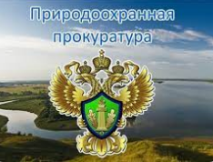 При надзорном сопровождении прокуратуры земельный участок  освобожден от отходов строительства