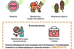 Внимание лисы!