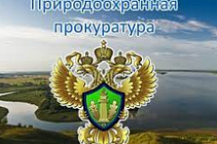Вынесением обвинительного приговора завершилось уголовное дело об организации опасных фотосессий со львами