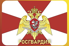 В Москве росгвардейцы остановили машину, числящуюся в розыске