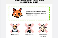Территориальный отдел Управления Роспотребнадзора по г. Москве в ЮЗАО города Москвы, в связи с появлением лис на территории ЮЗАО города Москвы, во дворах жилых домов, информирует. 